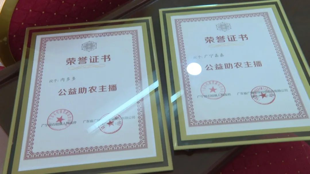 廣東廣電網(wǎng)絡：智慧廣電網(wǎng)絡平臺，開啟廣寧農(nóng)產(chǎn)品銷售新格局